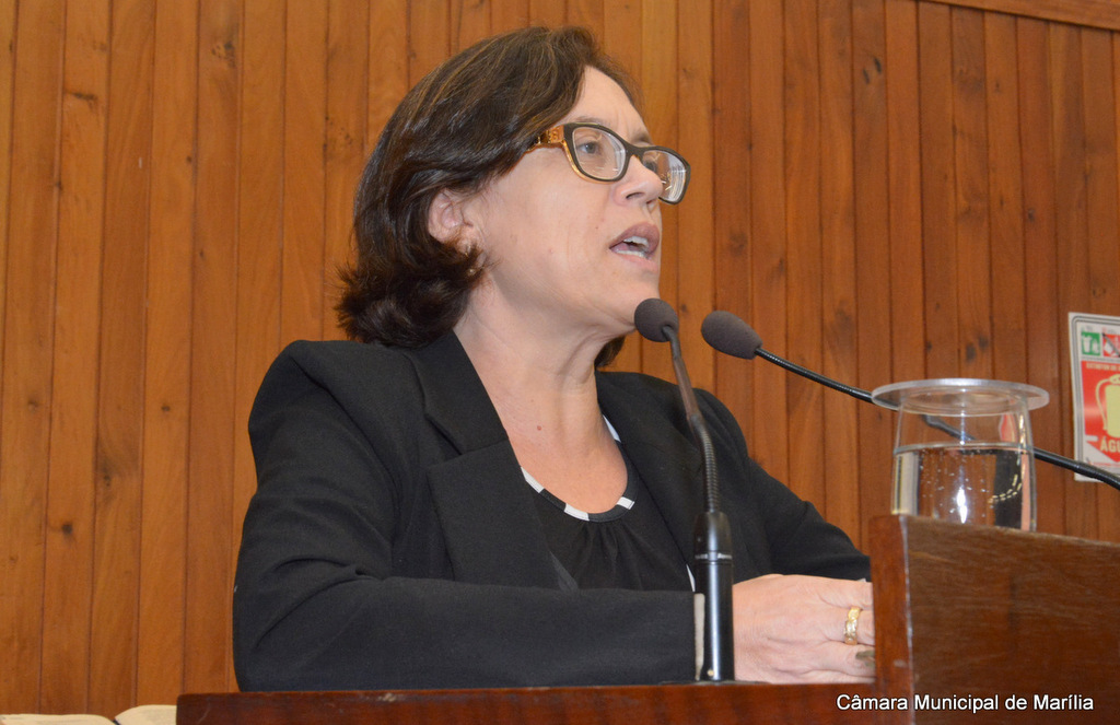 Câmara aprova projeto da vereadora Sônia Tonin que altera Código de Obras do Município