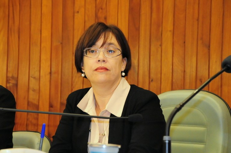 Sônia Tonin preside audiência pública sobre LDO