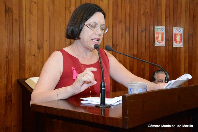 Projeto da Vereadora Sônia Tonin considera Grupo Escoteiro utilidade pública
