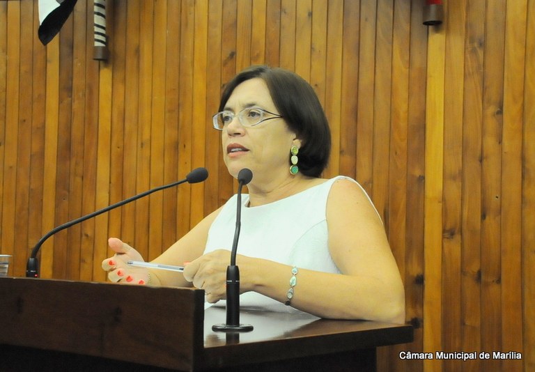 Publicada lei da vereadora Sônia Tonin que garante infraestrutura em áreas de lazer 