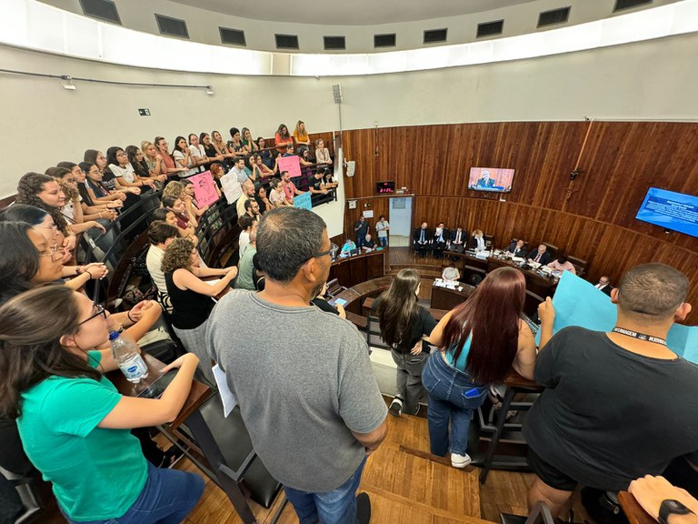 Câmara irá convocar secretários e responsável pelo Instituto de apoio a pessoa com deficiência e à inclusão social para Audiência Pública