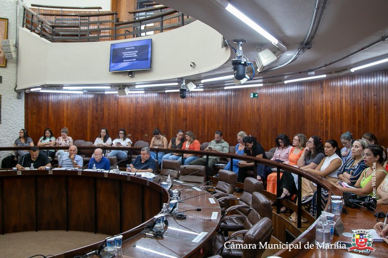 Relatório da Saúde do 3º quadrimestre de 2024 é apresentado em audiência